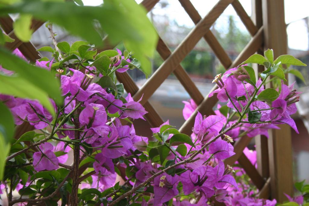 เล ฟาเต อพาร์ตเมนต์ Bed & Breakfast โรม ภายนอก รูปภาพ